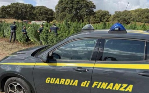 Truffe porta a porta: oltre 1.200 anziani raggirati in Italia
