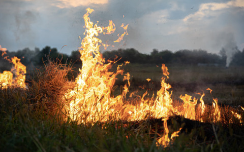 Un monopattino elettrico prende fuoco in marcia, conducente illeso