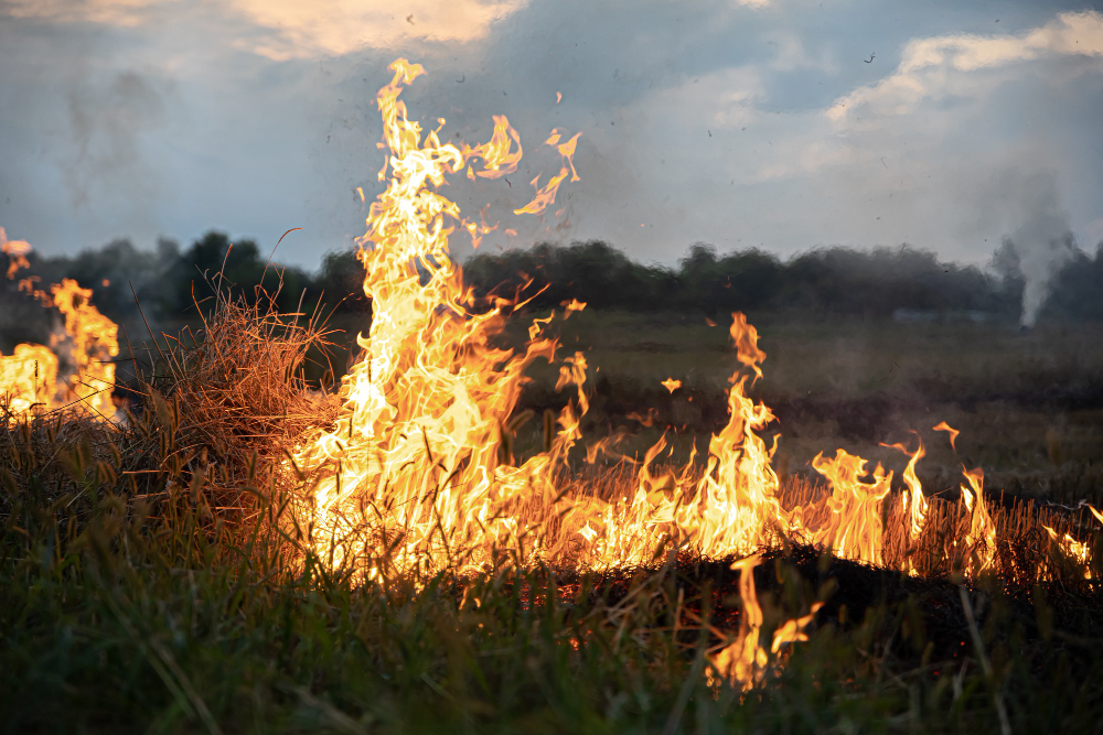 Un monopattino elettrico prende fuoco in marcia, conducente illeso