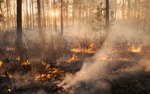 Incendio in cascina a Borghetto Lodigiano, distrutto un essiccatore