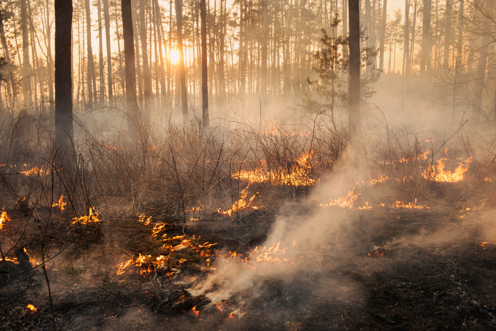 Incendio in cascina a Borghetto Lodigiano, distrutto un essiccatore