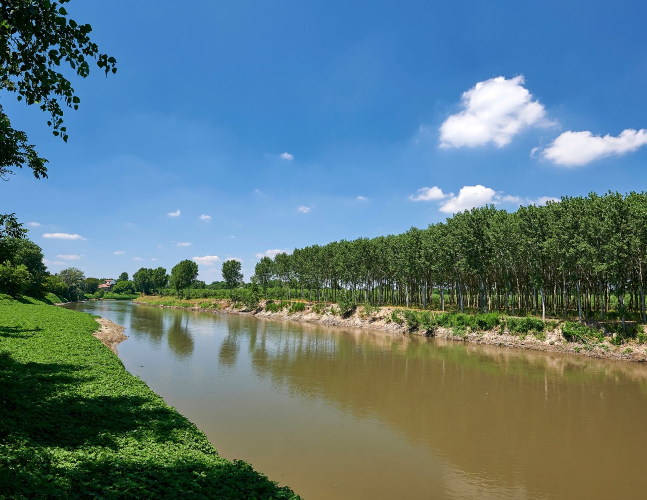 Cadavere di donna recuperato nel fiume Lambro