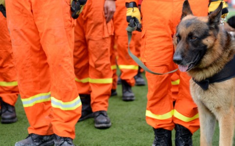 Codogno ospita il mondiale dei cani da soccorso