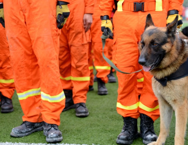 Codogno ospita il mondiale dei cani da soccorso